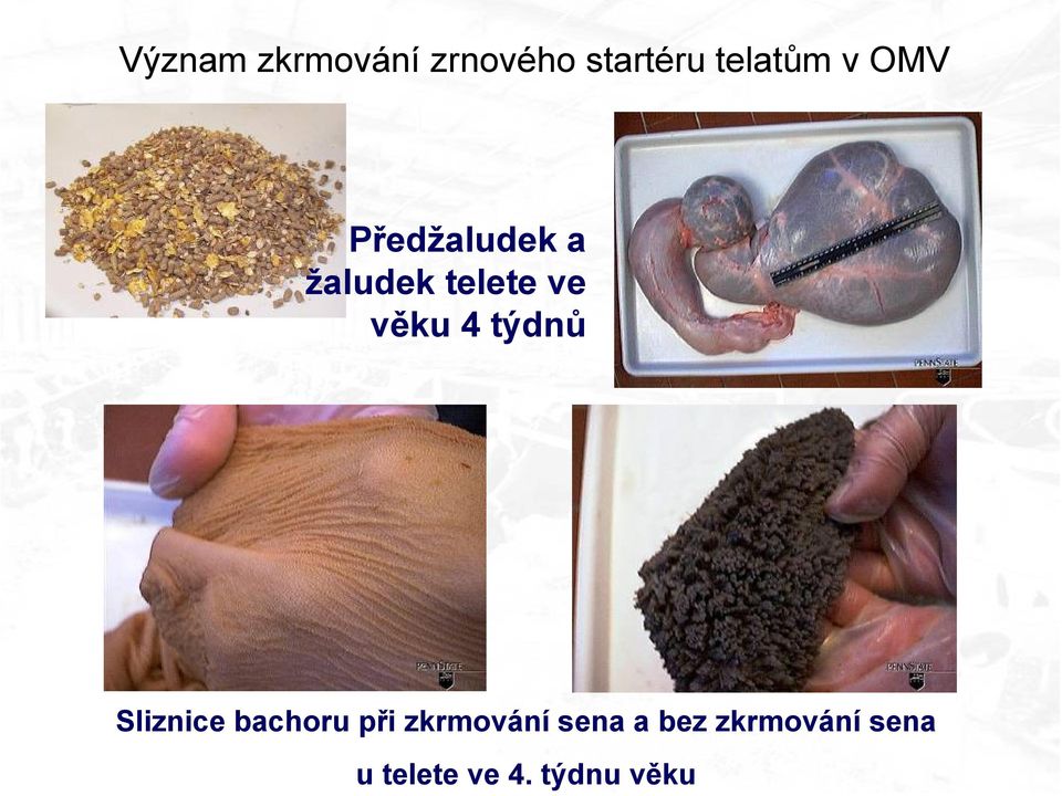 startéru telatům v OMV Předžaludek a