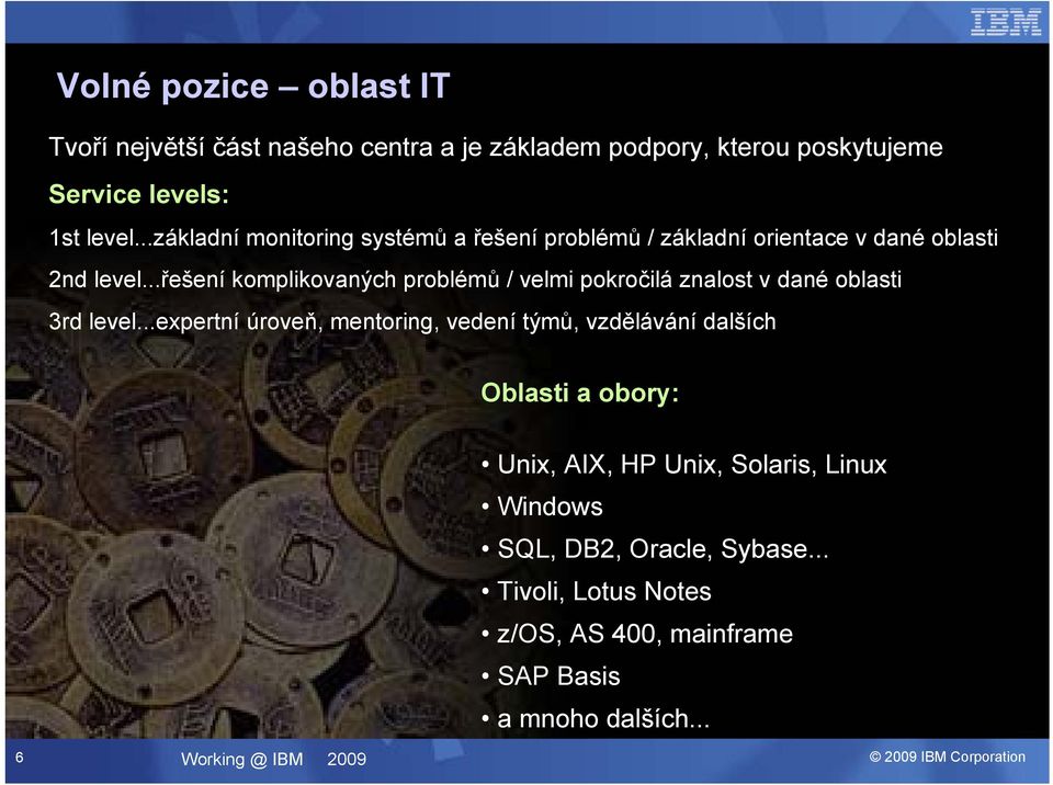 ..řešení komplikovaných problémů / velmi pokročilá znalost v dané oblasti 3rd level.