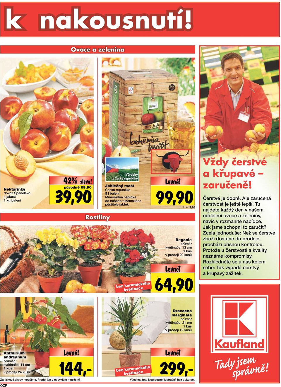 Begonie průměr květináče: 13 cm 1 kus v prodeji 20 kusů 64,90 Vždy čerstvé a křupavé zaručeně! Čerstvé je dobré. Ale zaručená čerstvost je ještě lepší.