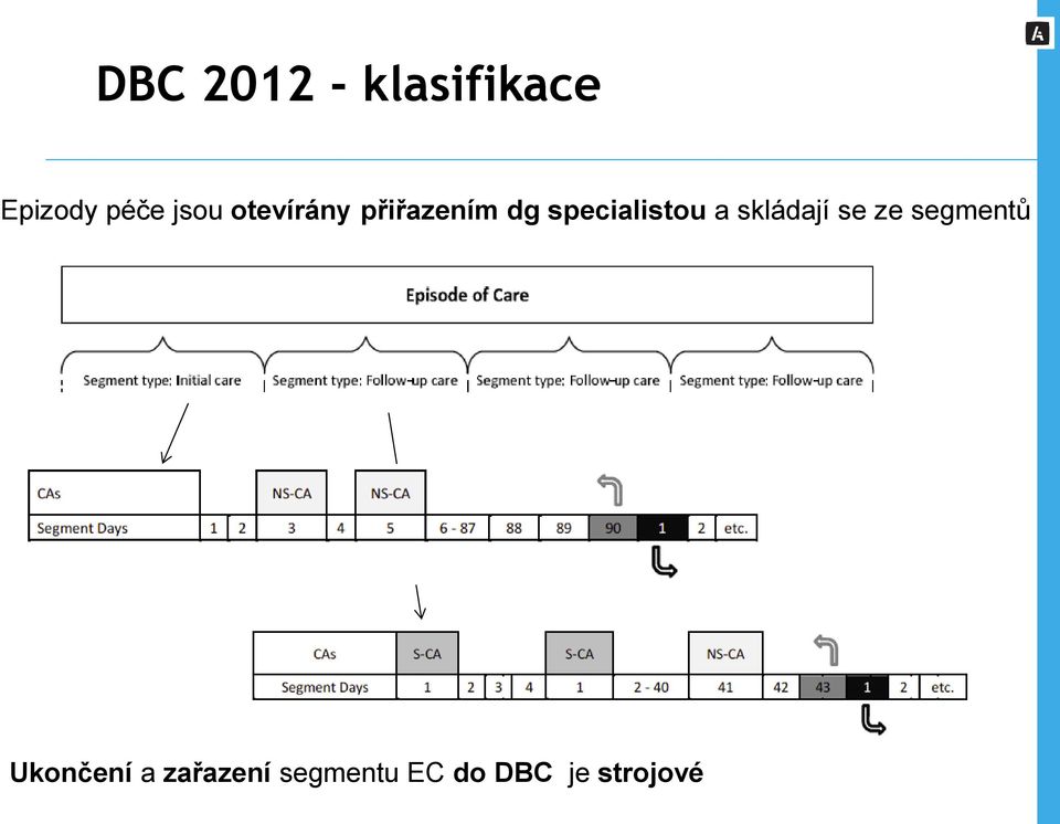 specialistou a skládají se ze segmentů