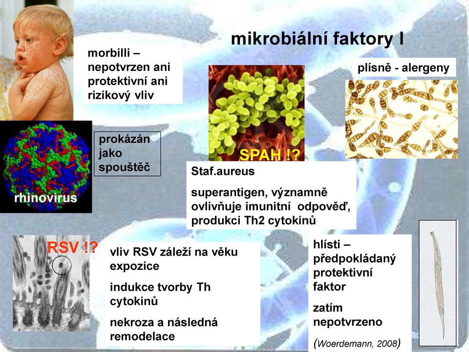 ? superantigen, významně ovlivňuje imunitní odpověď, produkci Th2 cytokinů RSV!