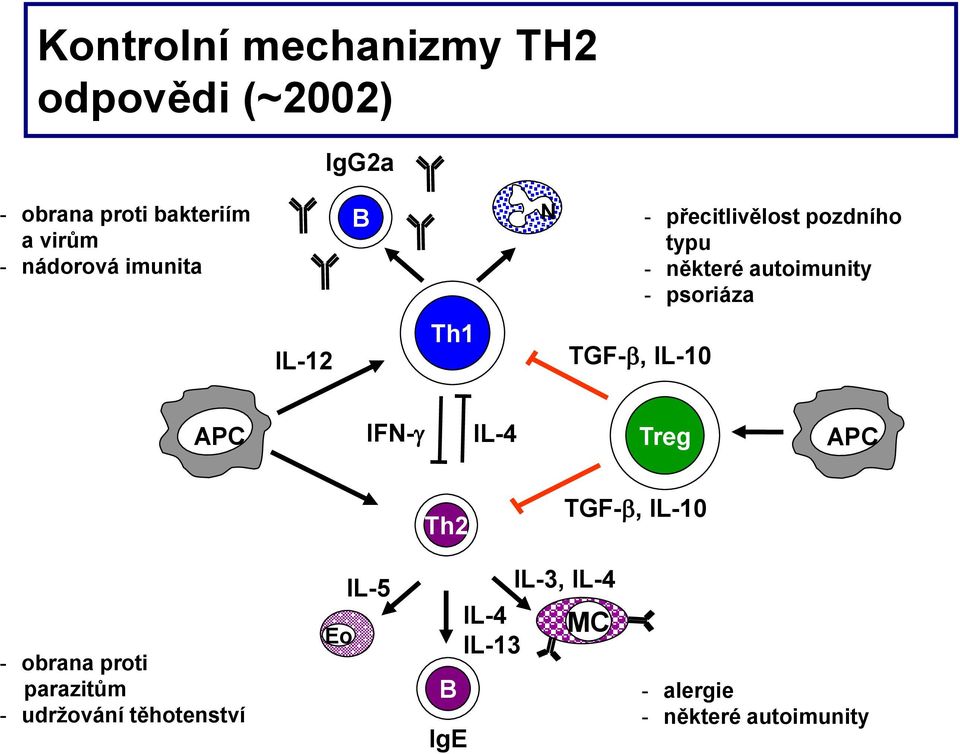 autoimunity - psoriáza IL-12 Th1 TGF-b, IL-10 APC IFN-g IL-4 Treg APC Th2 TGF-b, IL-10 - obrana