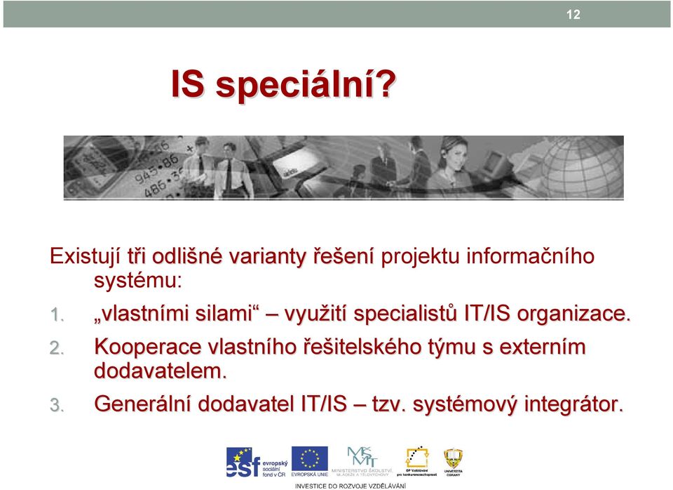 vlastními silami využit ití specialistů IT/IS organizace. 2.