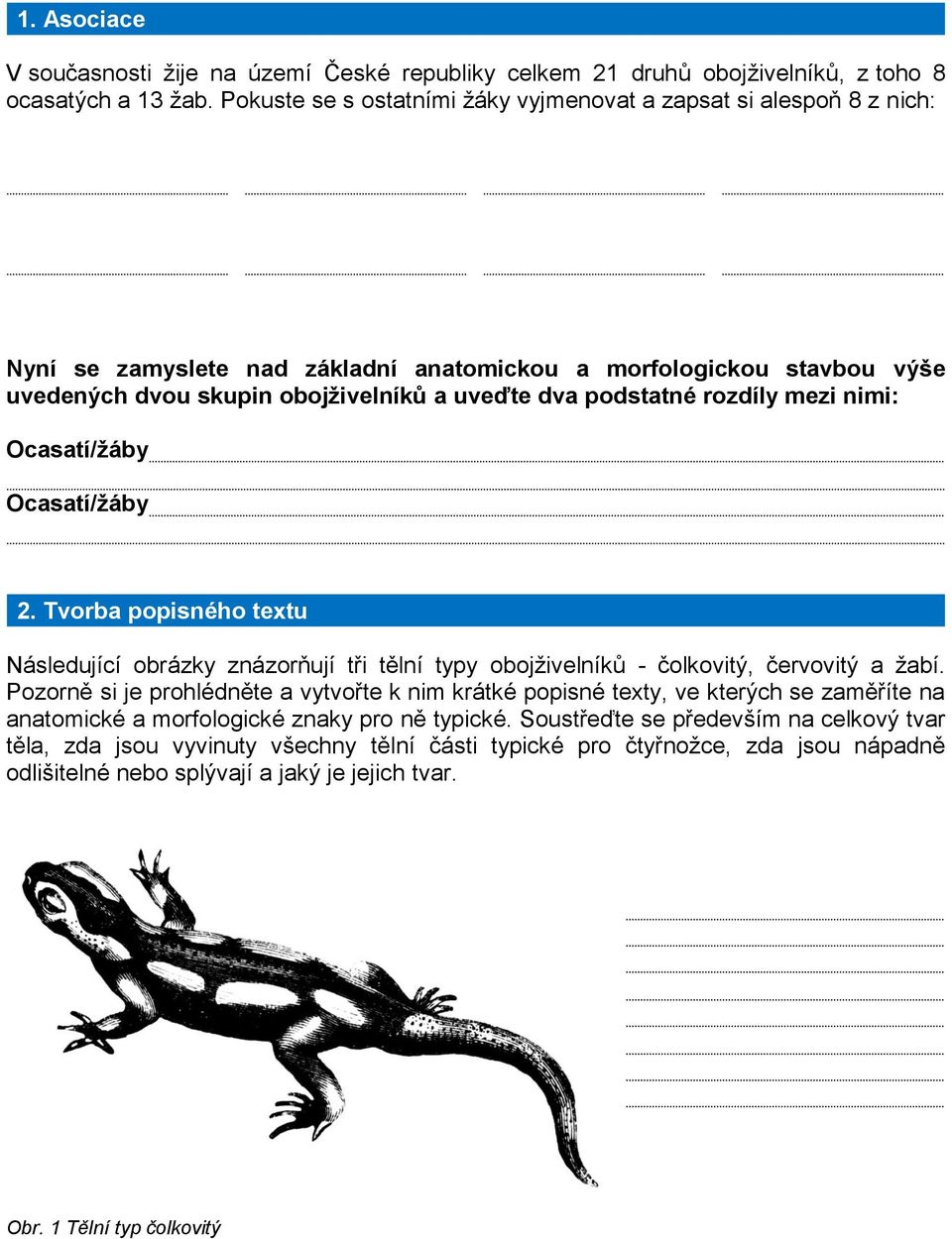 rozdíly mezi nimi: Ocasatí/žáby Ocasatí/žáby 2. Tvorba popisného textu Následující obrázky znázorňují tři tělní typy obojživelníků - čolkovitý, červovitý a žabí.