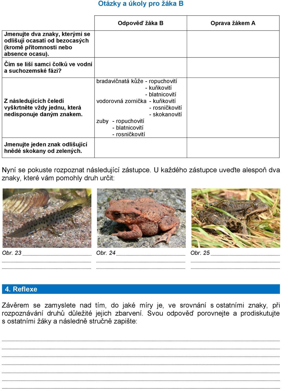 Odpověď žáka B bradavičnatá kůže - ropuchovití - kuňkovití - blatnicovití vodorovná zornička - kuňkovití - rosničkovití - skokanovití zuby - ropuchovití - blatnicovití - rosničkovití Oprava žákem A