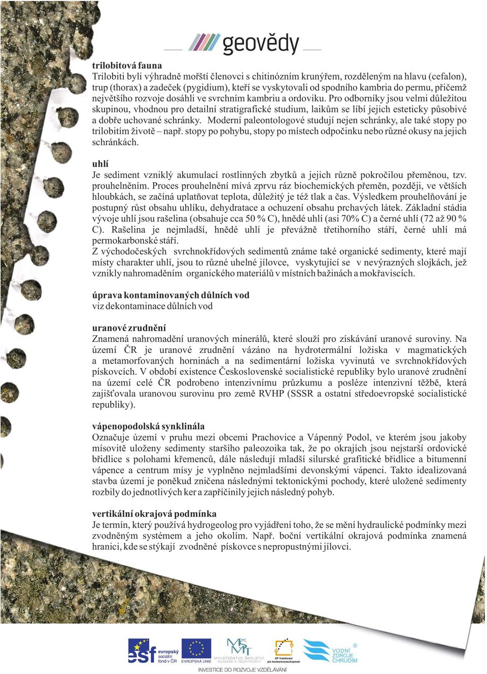 Pro odborníky jsou velmi důležitou skupinou, vhodnou pro detailní stratigrafické studium, laikům se líbí jejich esteticky působivé a dobře uchované schránky.