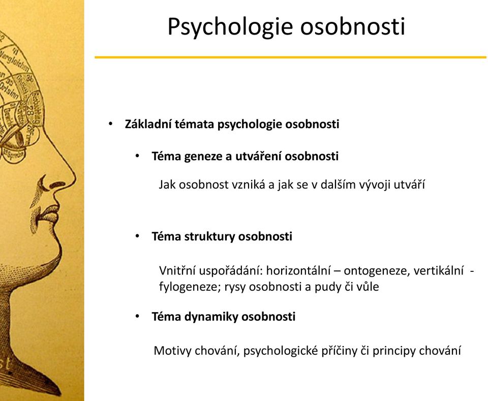 uspořádání: horizontální ontogeneze, vertikální - fylogeneze; rysy osobnosti a