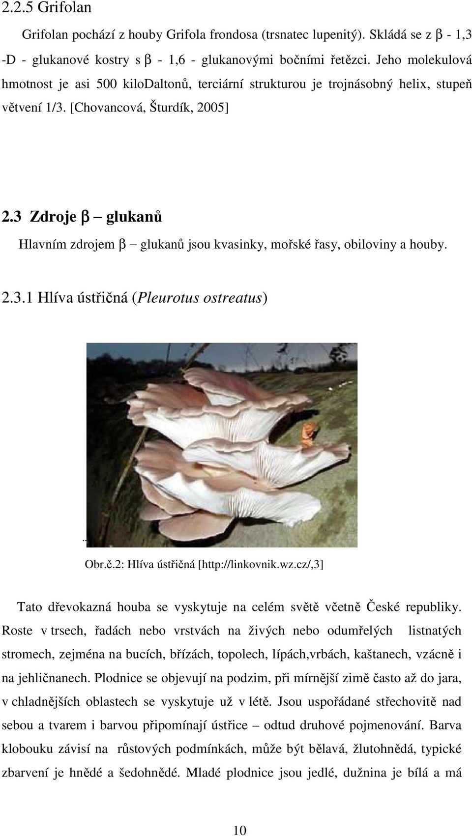 3 Zdroje β glukanů Hlavním zdrojem β glukanů jsou kvasinky, mořské řasy, obiloviny a houby. 2.3.1 Hlíva ústřičná (Pleurotus ostreatus) Obr.č.2: Hlíva ústřičná [http://linkovnik.wz.