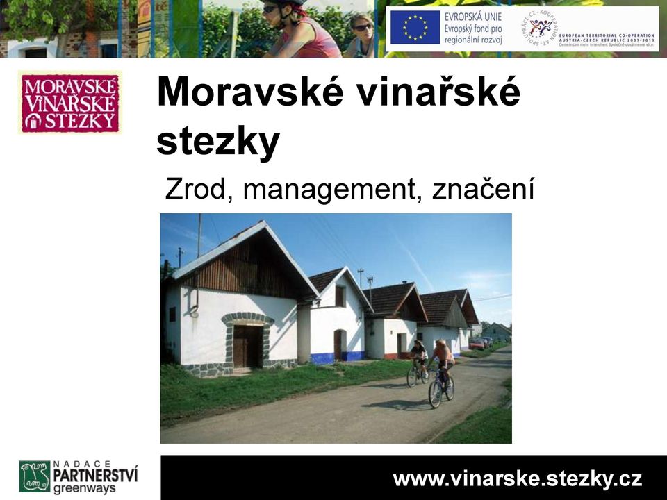 management,