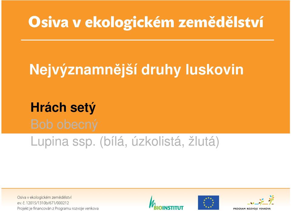 Bob obecný Lupina ssp.