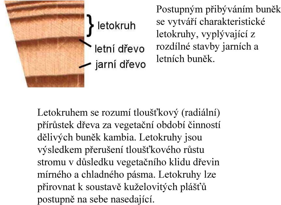 Letokruhem se rozumí tloušťkový (radiální) přírůstek dřeva za vegetační období činností dělivých buněk kambia.