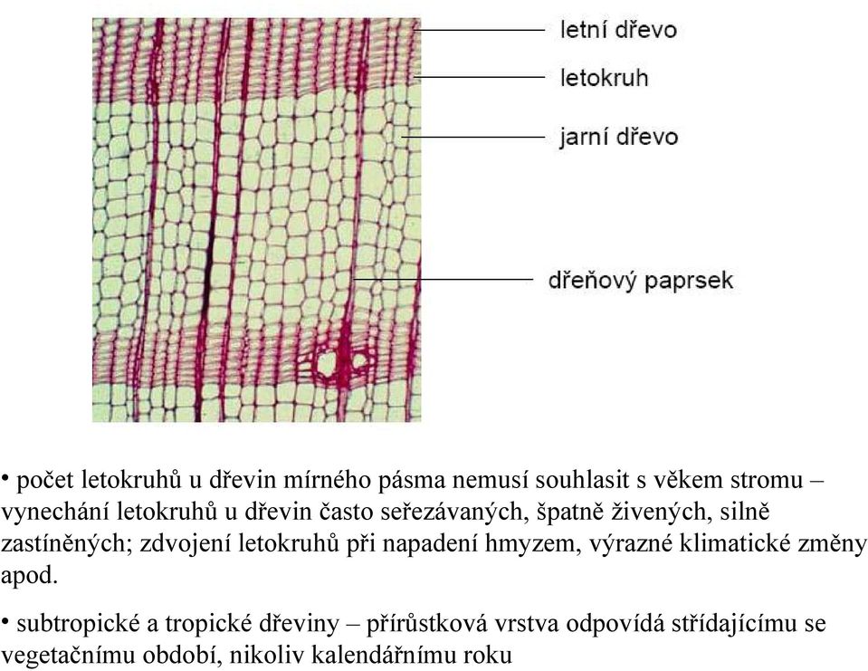 letokruhů při napadení hmyzem, výrazné klimatické změny apod.