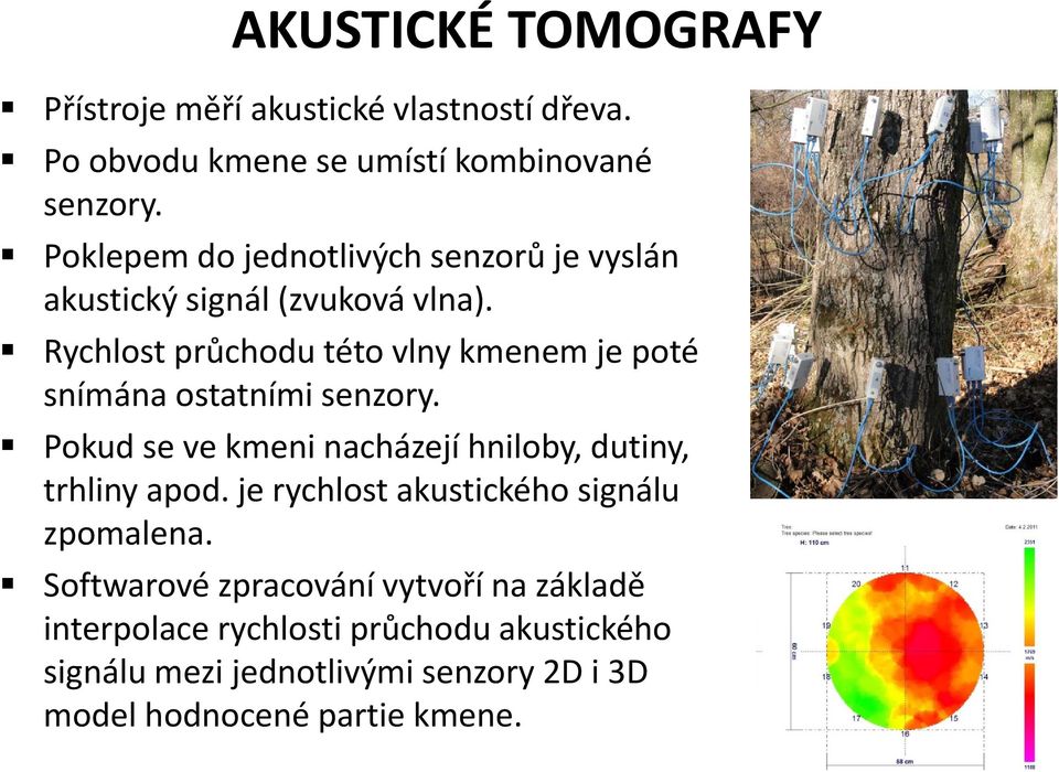 Rychlost průchodu této vlny kmenem je poté snímána ostatními senzory. Pokud se ve kmeni nacházejí hniloby, dutiny, trhliny apod.