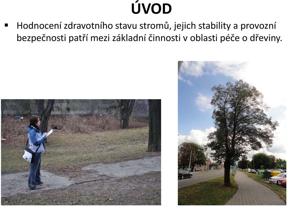 provozní bezpečnosti patří mezi