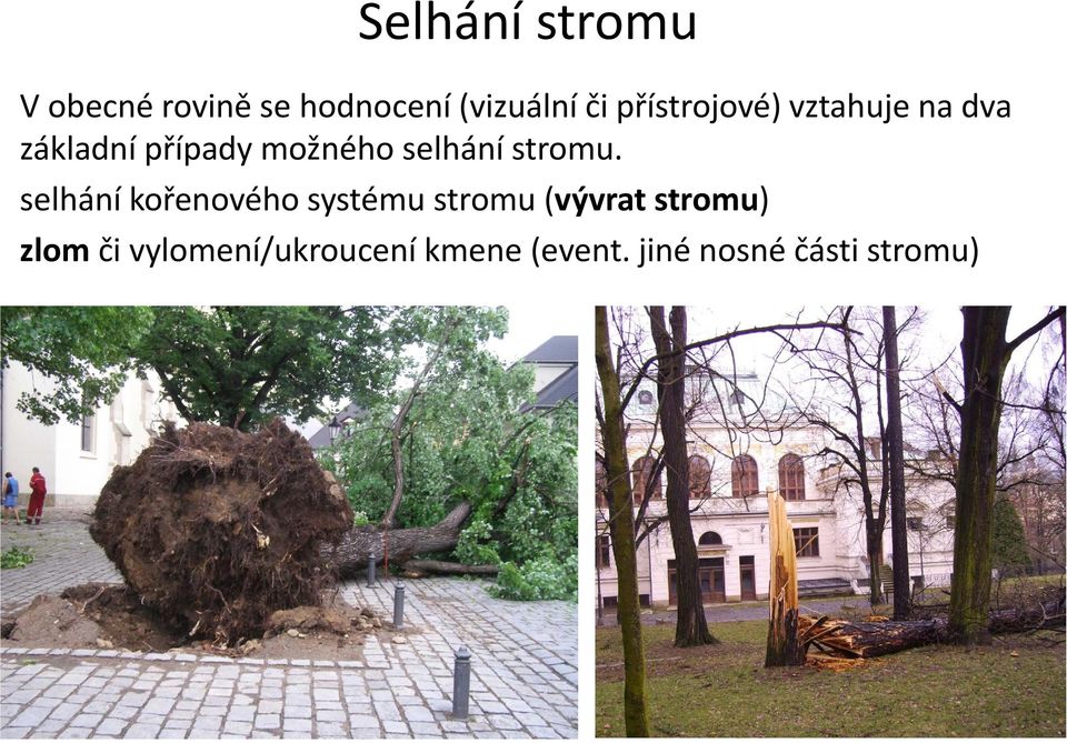 selhánístromu.