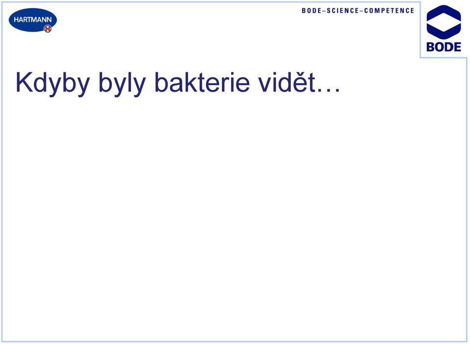 bakterie