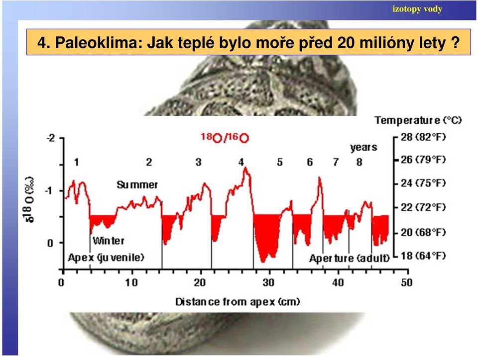 teplé bylo moře