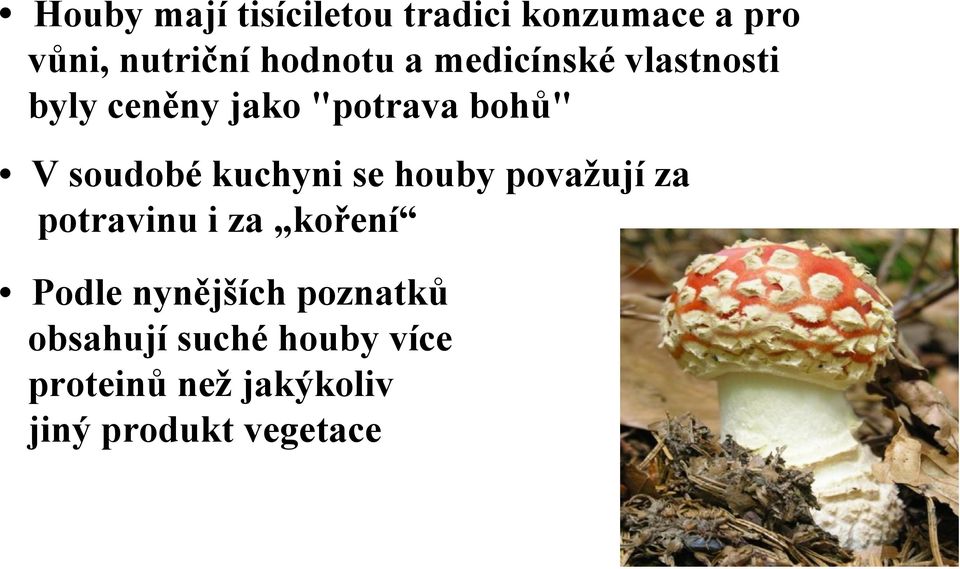 kuchyni se houby považují za potravinu i za koření Podle nynějších