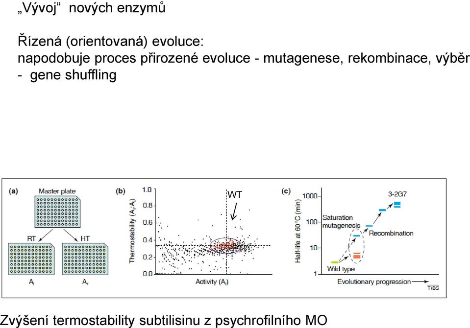 mutagenese, rekombinace, výběr - gene shuffling