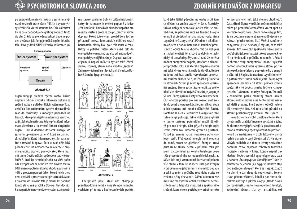 Pokud nejsou v řídícím středisku informace získané ze zpětné vazby v pořádku, řídící systém například uvádí do činnosti imunitní systém aby uvedl vše zase do rovnováhy.