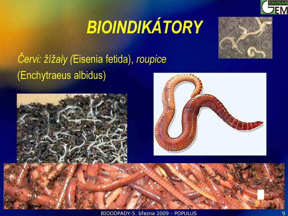 BIOINDIKÁTORY Červi: žížaly