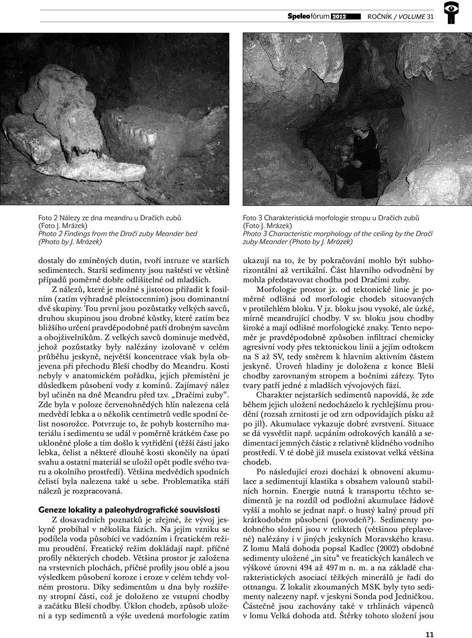 Z nálezů, které je možné s jistotou přiřadit k fosilním (zatím výhradně pleistocenním) jsou dominantní dvě skupiny.