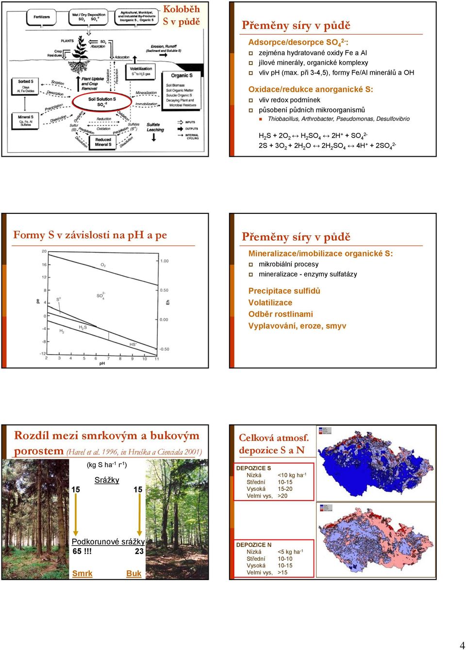 + + SO 4 2S + 3O 2 + 2H 2 O 2H 2 SO 4 4H + + 2SO 4 Formy S v závislosti na ph a pe Přeměny síry v půdě Mineralizace/imobilizace organické S: mikrobiální procesy mineralizace - enzymy sulfatázy