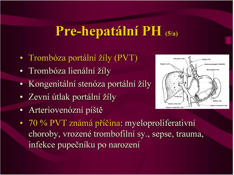 portáln lní žíly Arteriovenózn zní píště 70 % PVT známá příčina: