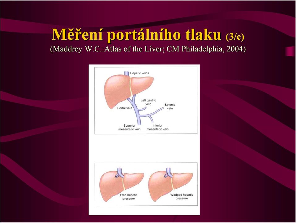 C.:Atlas of the Liver;