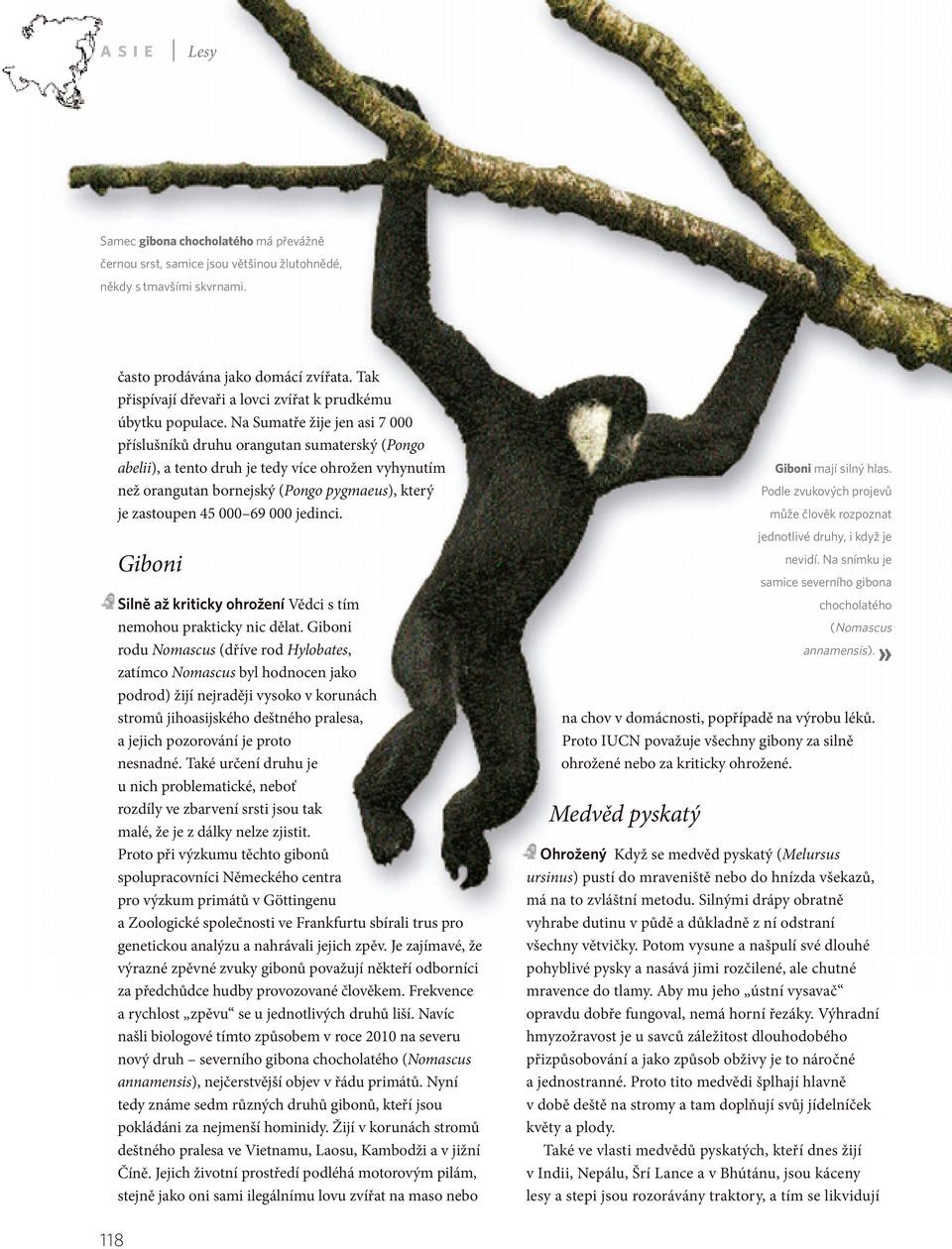 Na Sumatře žije jen asi 7 000 příslušníků druhu orangutan sumaterský (Pongo abelii), a tento druh je tedy více ohrožen vyhynutím než orangutan bornejský (Pongo pygmaeus), který je zastoupen 45 000 69