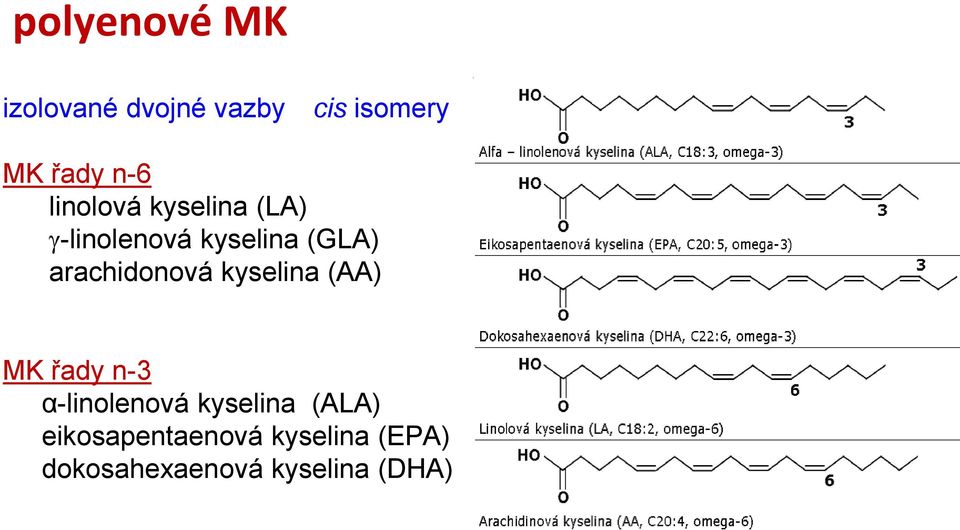 arachidonová kyselina (AA) MK řady n-3 α-linolenová