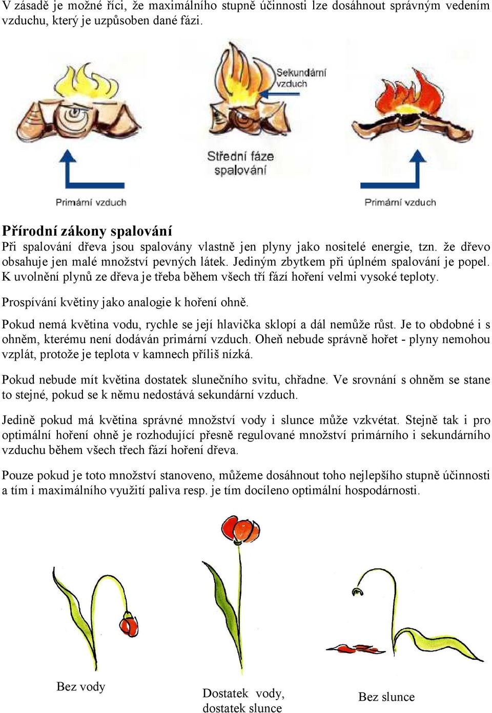 Jediným zbytkem při úplném spalování je popel. K uvolnění plynů ze dřeva je třeba během všech tří fází hoření velmi vysoké teploty. Prospívání květiny jako analogie k hoření ohně.