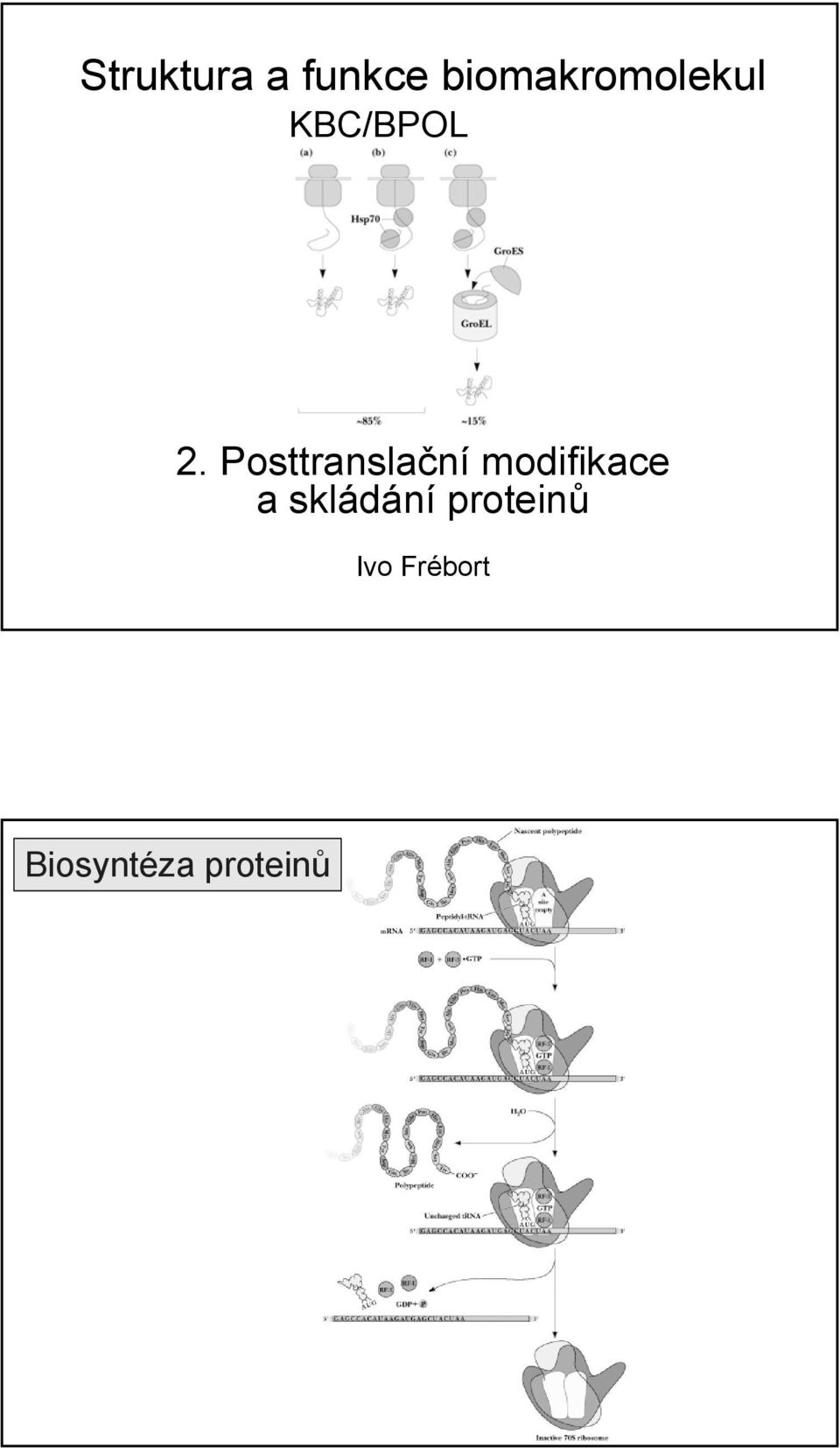 Posttranslační modifikace a
