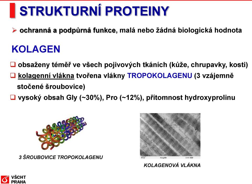 vlákna tvořena vlákny TROPOKOLAGENU (3 vzájemně stočené šroubovice) vysoký obsah Gly