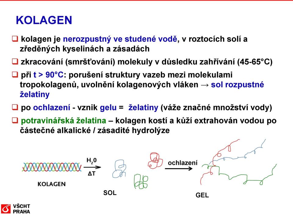 tropokolagenů, uvolnění kolagenových vláken sol rozpustné želatiny po ochlazení - vznik gelu = želatiny (váže značné