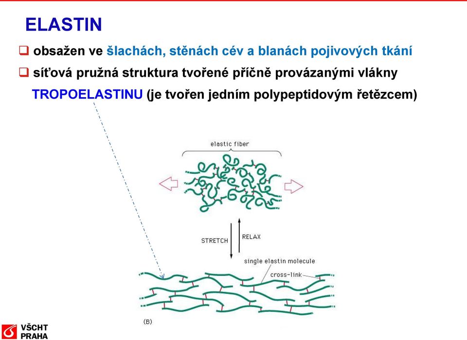 struktura tvořené příčně provázanými vlákny