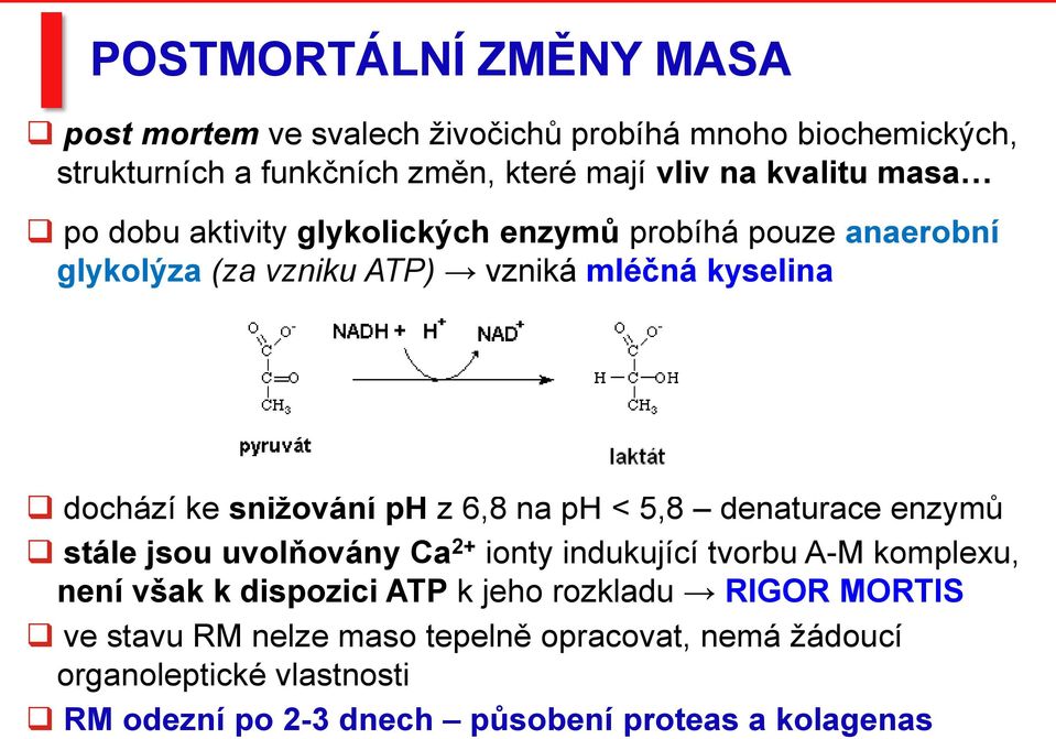 snižování ph z 6,8 na ph < 5,8 denaturace enzymů stále jsou uvolňovány Ca 2+ ionty indukující tvorbu A-M komplexu, není však k dispozici ATP k