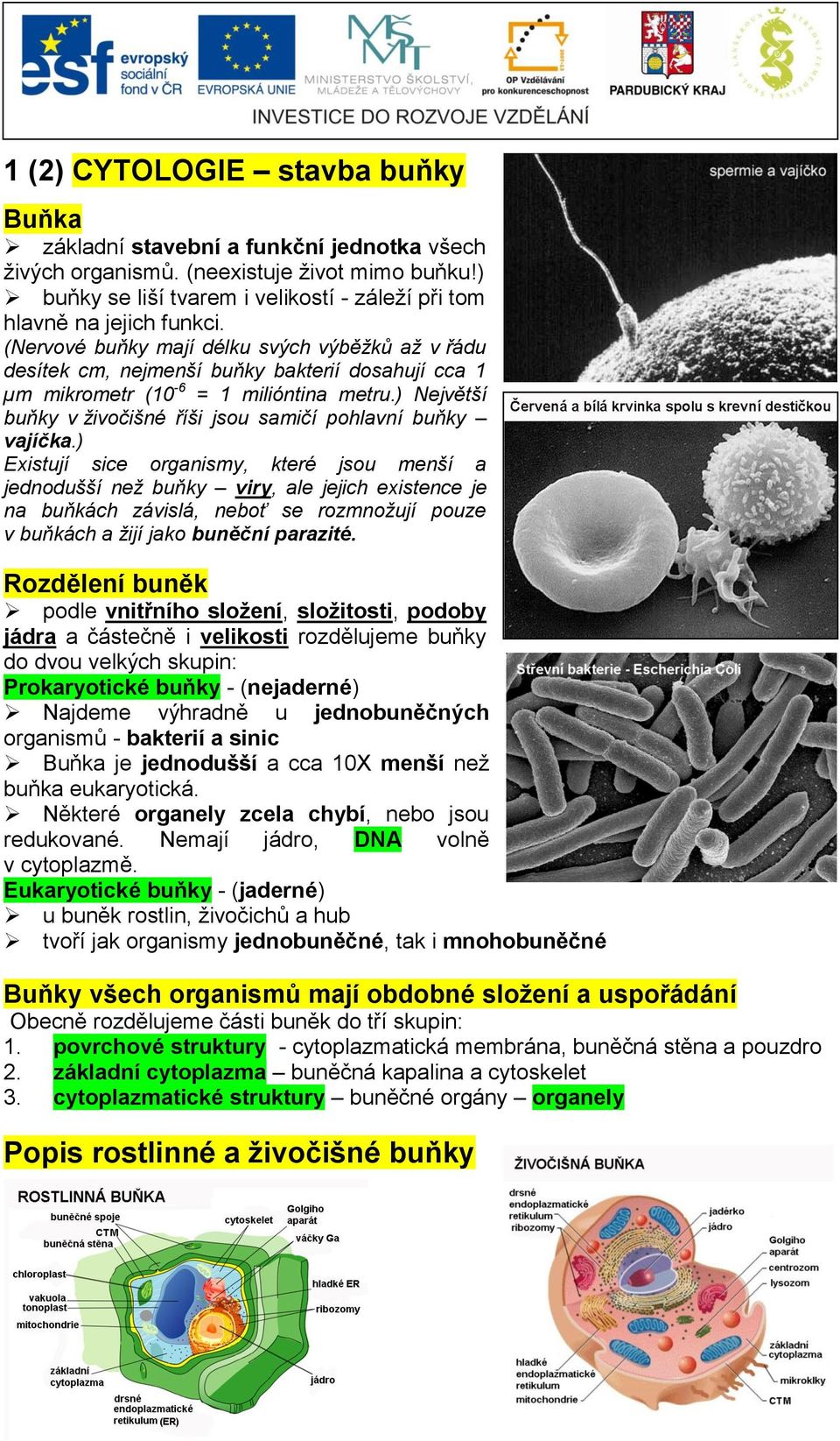 (Nervové buňky mají délku svých výběžků až v řádu desítek cm, nejmenší buňky bakterií dosahují cca 1 µm mikrometr (10-6 = 1 milióntina metru.