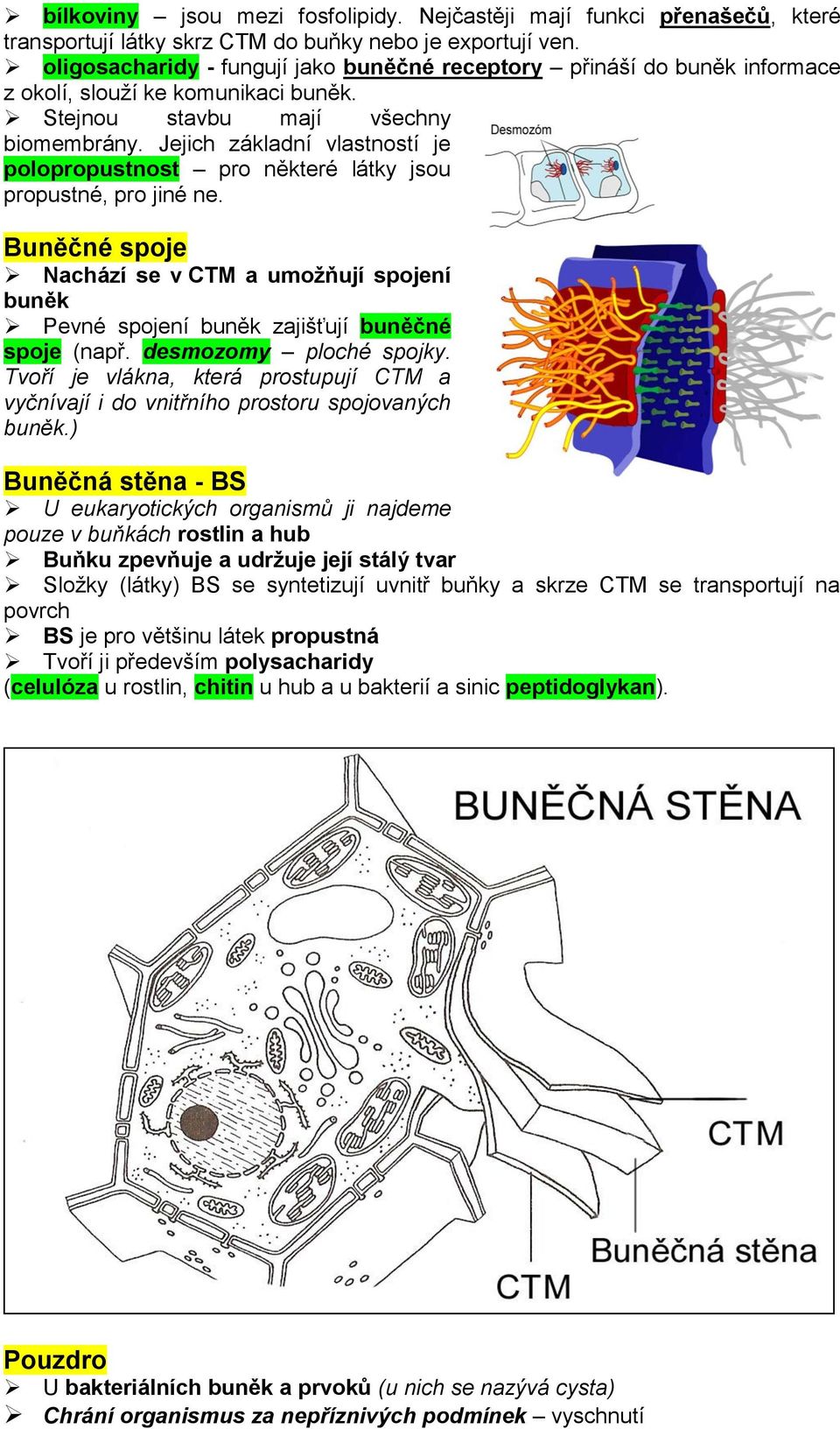 Jejich základní vlastností je polopropustnost pro některé látky jsou propustné, pro jiné ne. Buněčné spoje Nachází se v CTM a umožňují spojení buněk Pevné spojení buněk zajišťují buněčné spoje (např.