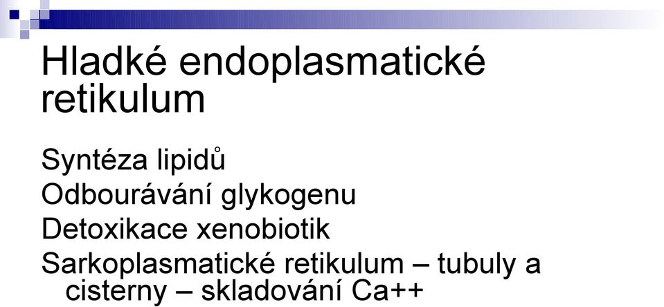 Detoxikace xenobiotik