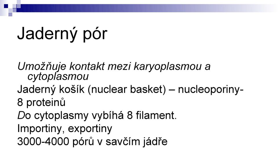 nucleoporiny8 proteinů Do cytoplasmy vybíhá 8