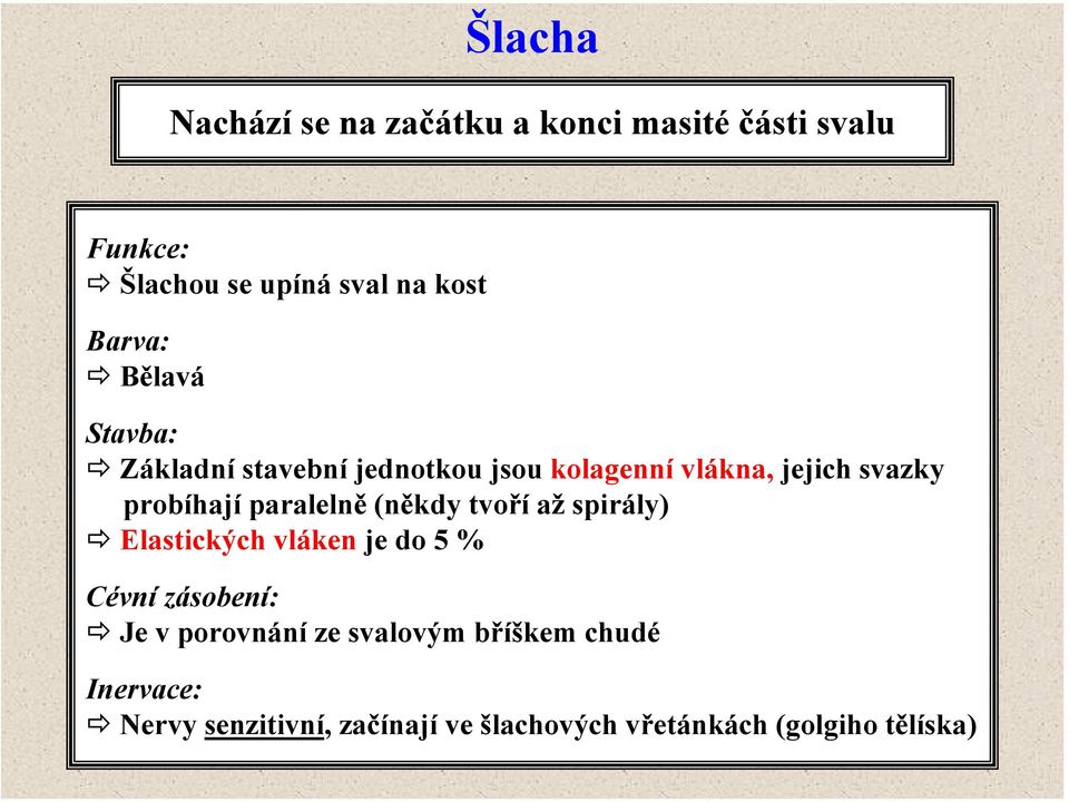 paralelně (někdy tvoří ažspirály) Elastických vláken je do 5 % Cévní zásobení: Je v porovnání ze