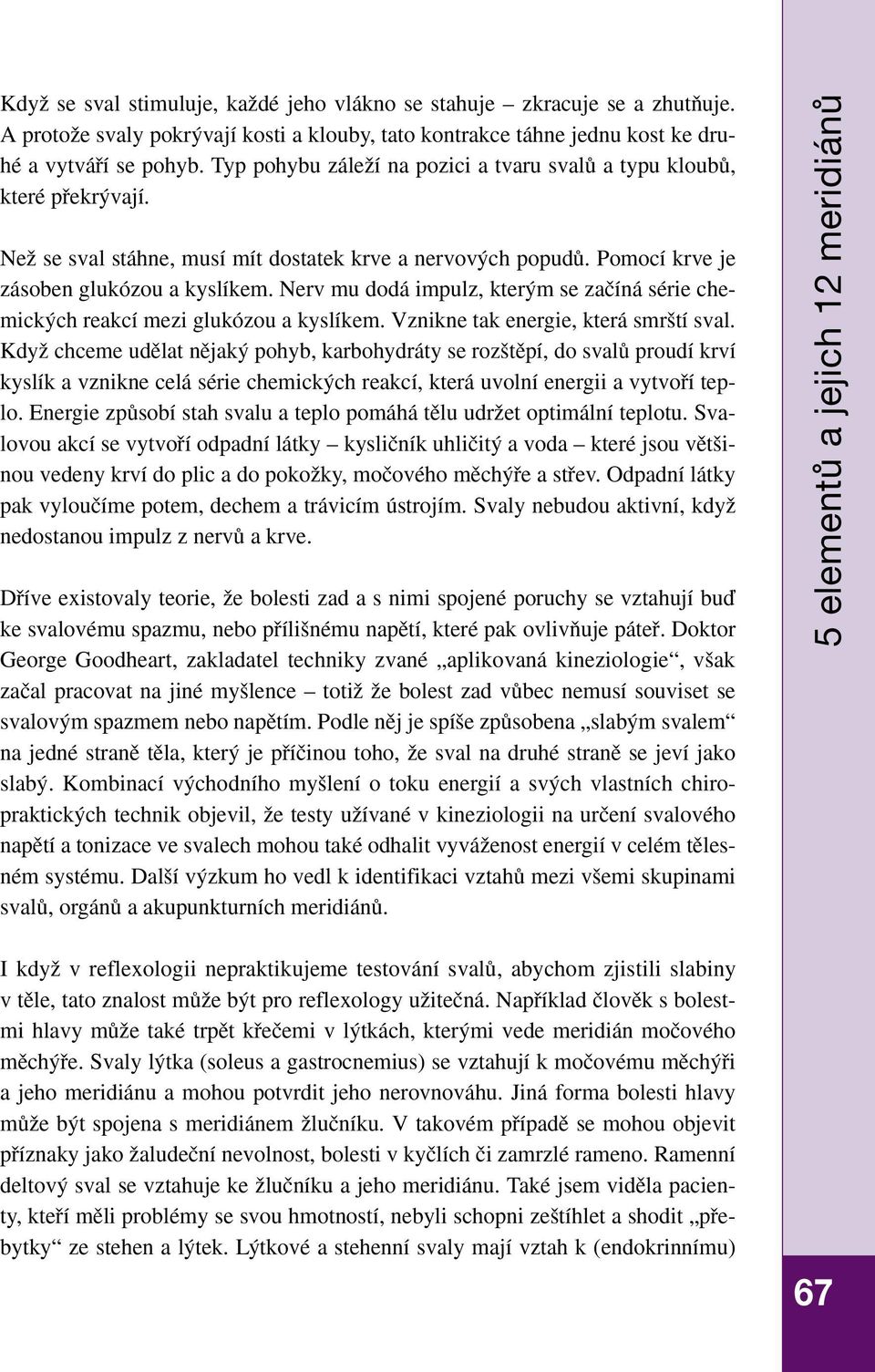 Nerv mu dodá impulz, kter m se zaãíná série chemick ch reakcí mezi glukózou a kyslíkem. Vznikne tak energie, která smr tí sval.