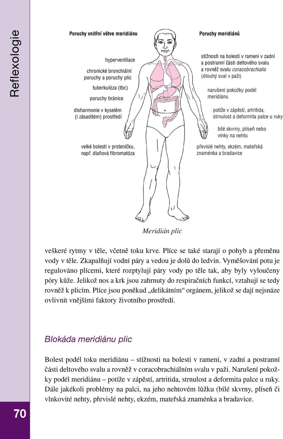 dlaàová fibromatóza potíïe v zápûstí, artritida, strnulost a deformita palce u ruky bílé skvrny, plíseà nebo vlnky na nehtu pfievislé nehty, ekzém, matefiská znaménka a bradavice Meridián plic ve