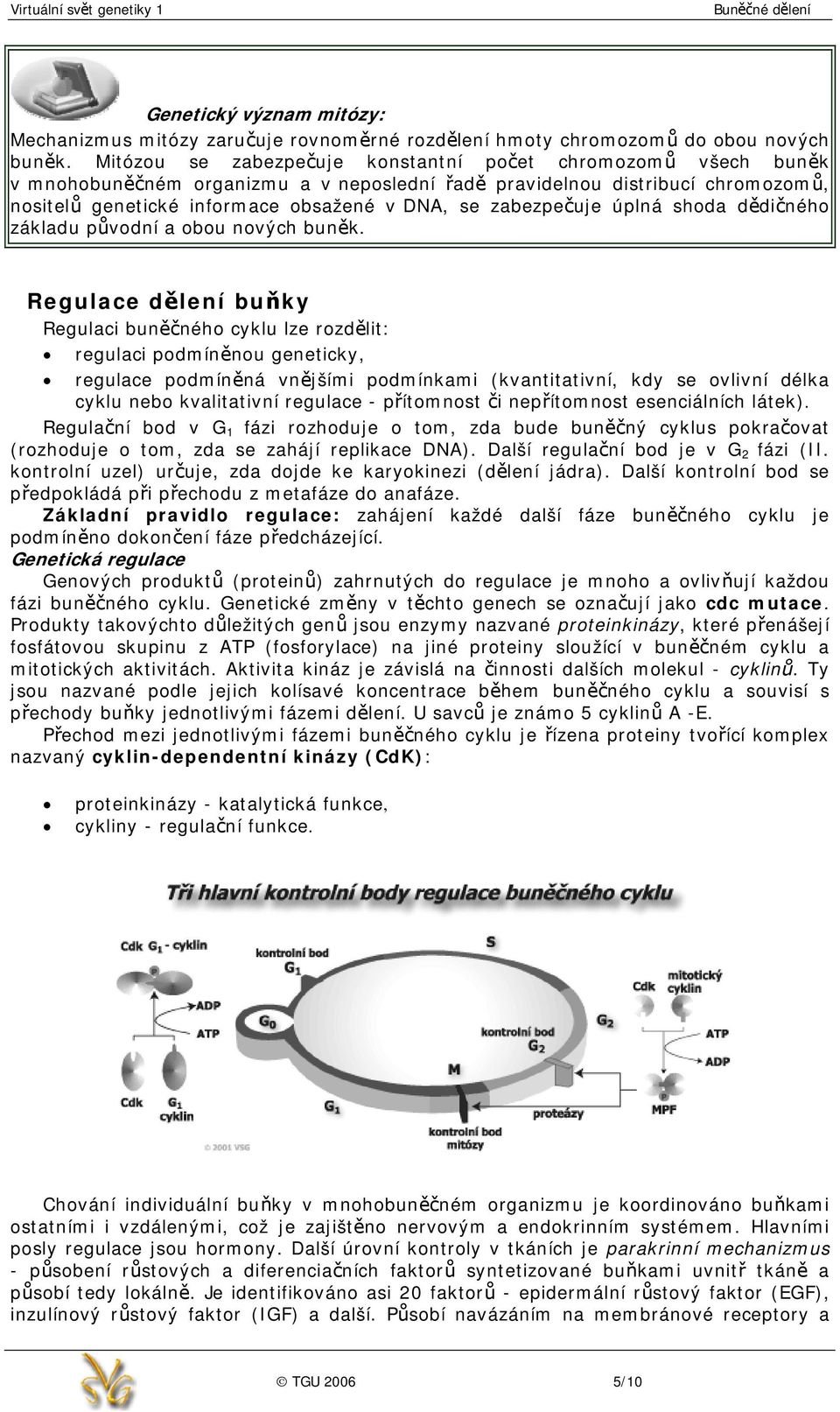 zabezpečuje úplná shoda dědičného základu původní a obou nových buněk.