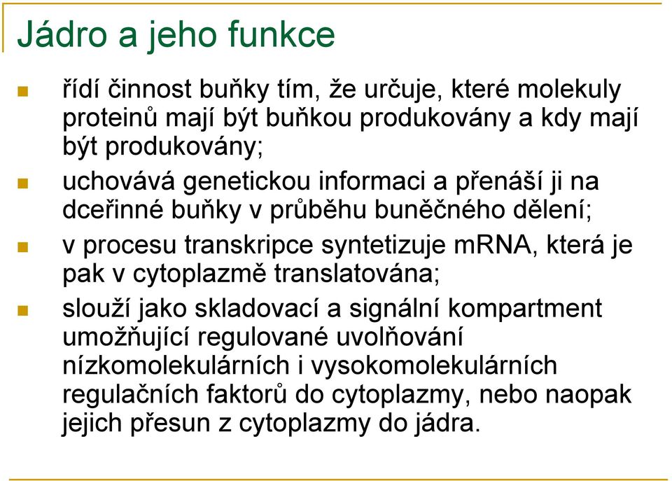 syntetizuje mrna, která je pak v cytoplazmě translatována; slouží jako skladovací a signální kompartment umožňující regulované