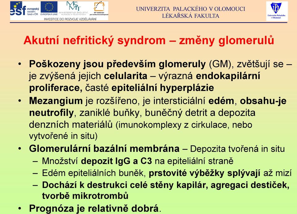 (imunokomplexy z cirkulace, nebo vytvořené in situ) Glomerulární bazální membrána Depozita tvořená in situ Množství depozit IgG a C3 na epiteliální straně Edém