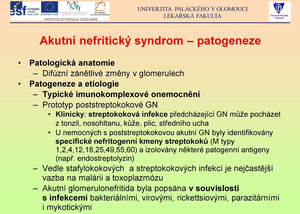 specifické nefritogenní kmeny streptokoků (M typy 1,2,4,12,18,25,49,55,60) a izolovány některé patogenní antigeny (např.