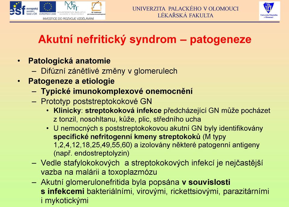 specifické nefritogenní kmeny streptokoků (M typy 1,2,4,12,18,25,49,55,60) a izolovány některé patogenní antigeny (např.