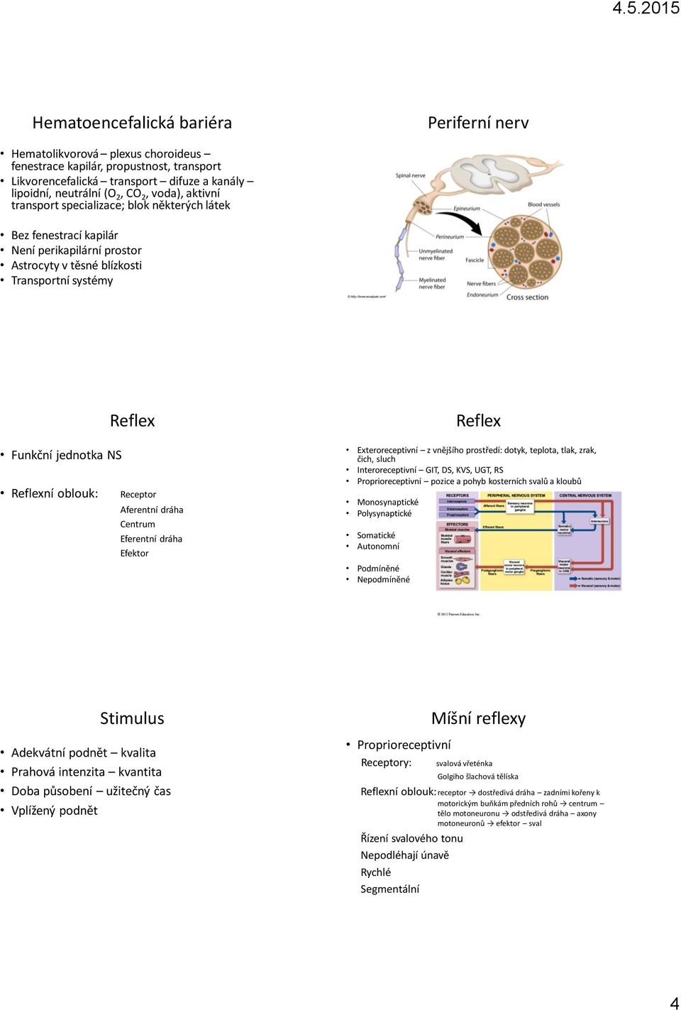 com/ Funkční jednotka NS Reflexní oblouk: Reflex Receptor Aferentní dráha Centrum Eferentní dráha Efektor Reflex Exteroreceptivní z vnějšího prostředí: dotyk, teplota, tlak, zrak, čich, sluch